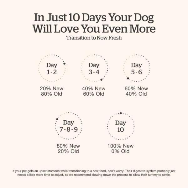 Now Fresh Turkey, Salmon & Duck Recipe Dry Puppy Food, 22lb - Image 6