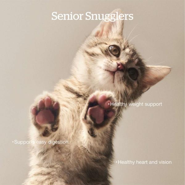 Now Fresh Turkey, Salmon & Duck Recipe Senior Dry Cat Food, 8lb - Image 2