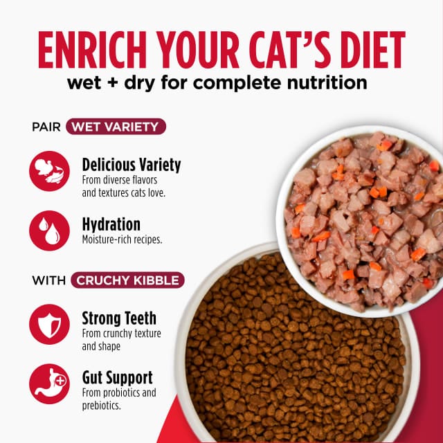 Nulo Freestyle High-Protein Chicken & Cod Recipe Dry Cat & Kitten Food - Image 5