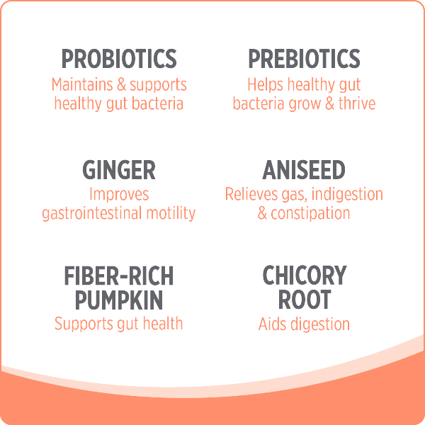 Nutrience Care+ Probiotic Cat Supplement - Image 4