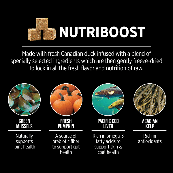 Nutrience SubZero Northern Lakes High Protein Dry Dog Food, 10kg - Image 4