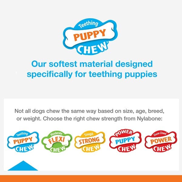 Nylabone Puppy Teething Pacifier - Image 4
