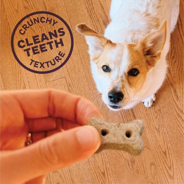Wellness Old Mother Hubbard Liv'R'Crunch Oven-Baked Dog Biscuits; Mini - Image 4