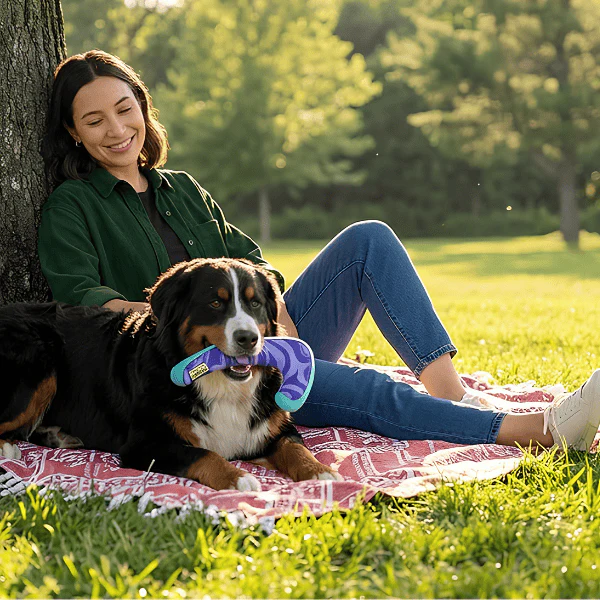 Outward Hound FlyFetch Boomerang Dog Toy - Image 5