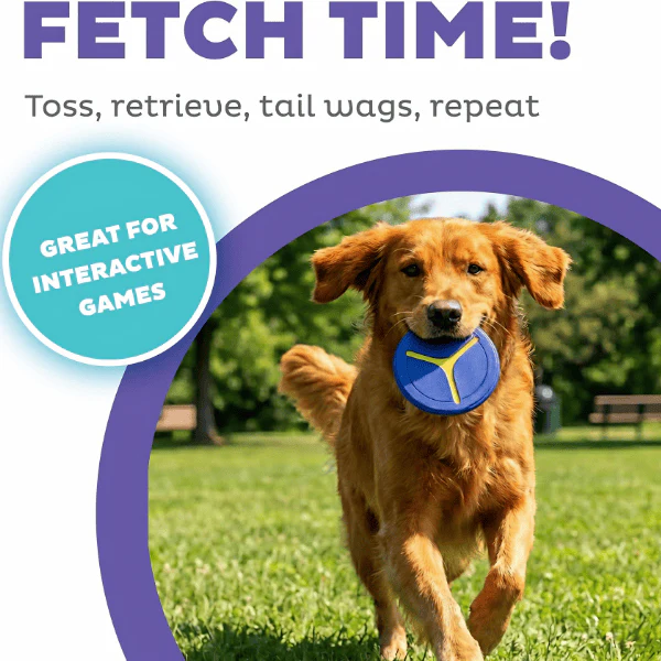 Outward Hound FlyFetch Disc Dog Toy 2-Pack - Image 3