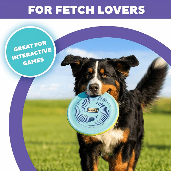 Outward Hound FlyFetch Disc Dog Toy - Image 3