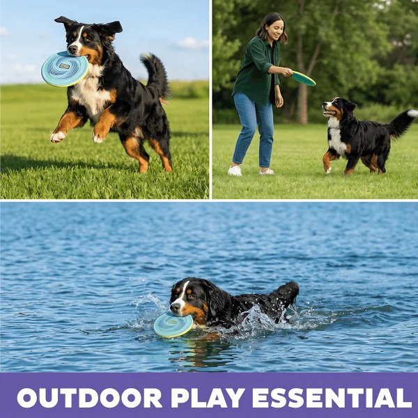Outward Hound FlyFetch Disc Dog Toy - Image 4