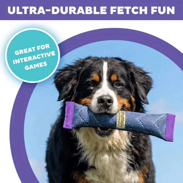 Outward Hound FlyFetch Firehose Tug Dog Toy - Image 3