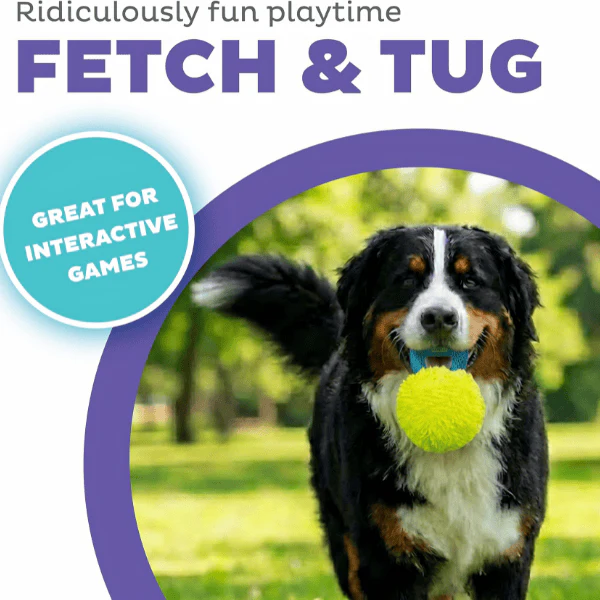 Outward Hound FlyFetch Giggle Ball Dog Toy - Image 3