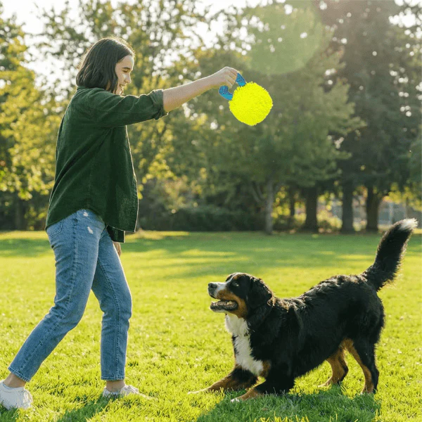 Outward Hound FlyFetch Giggle Ball Dog Toy - Image 5