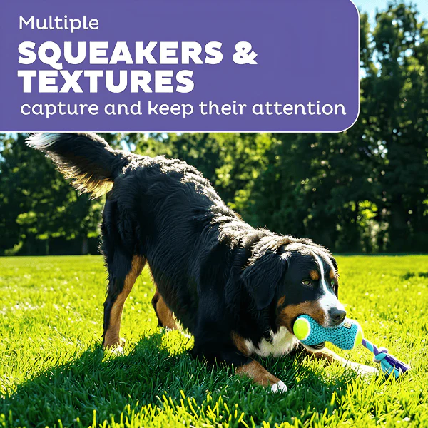 Outward Hound FlyFetch Rope Tug Dog Toy - Image 4
