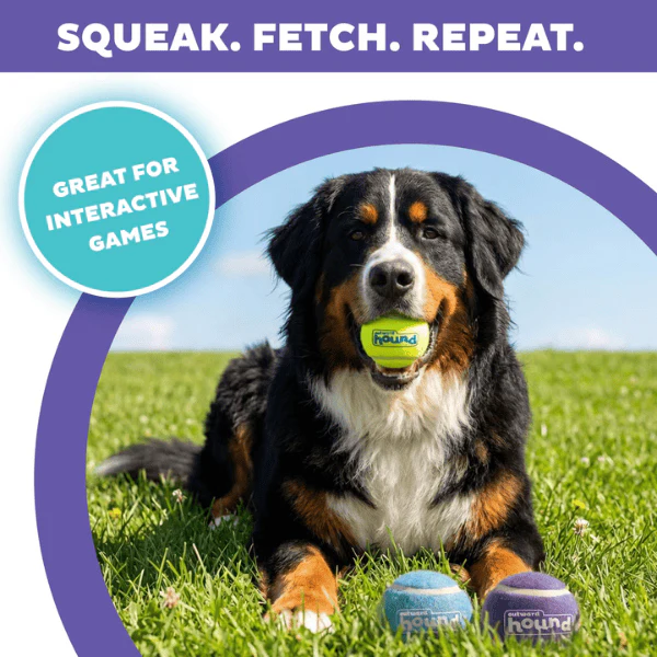 Outward Hound FlyFetch Squeaker Outdoor Ballz Dog Toys - Image 2