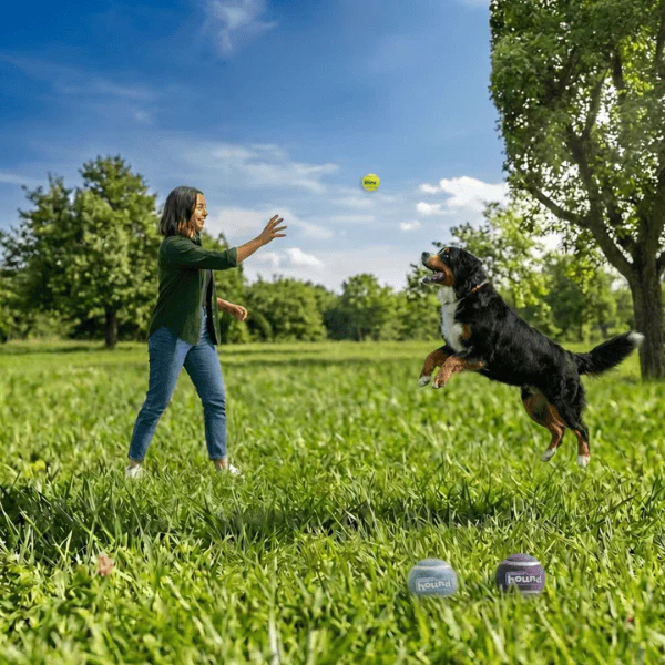 Outward Hound FlyFetch Squeaker Outdoor Ballz Dog Toys - Image 5