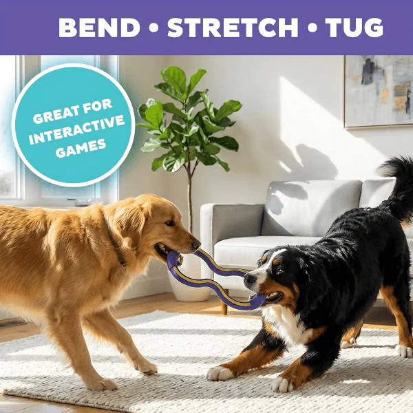 Outward Hound FlyFetch Tug Dog Toy - Image 3