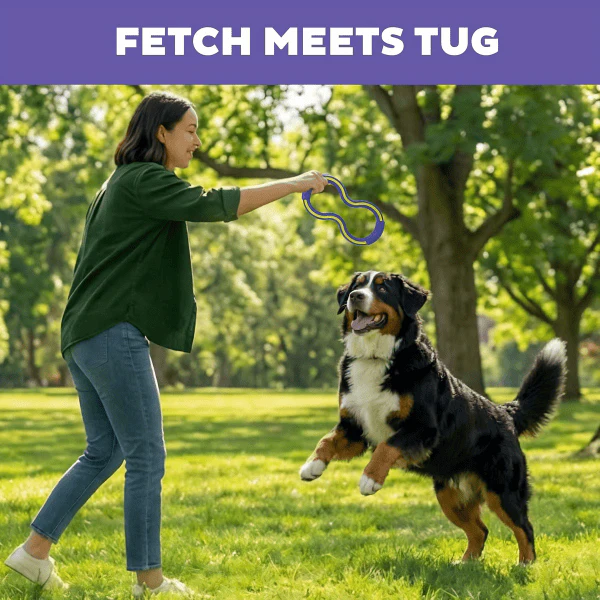 Outward Hound FlyFetch Tug Dog Toy - Image 4