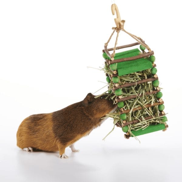 Oxbow Enriched Life - Apple Stick Hay Feeder - Image 5