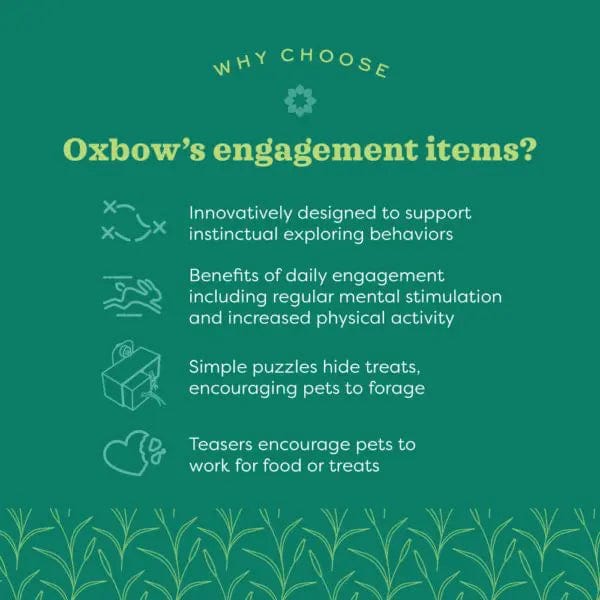 Oxbow Enriched Life - Bamboo Ball Pit - Image 3