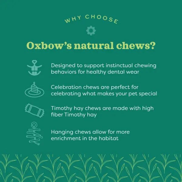 Oxbow Enriched Life - Birthday Party Pack - Image 4