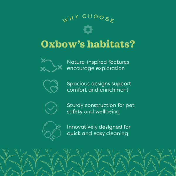 Oxbow Enriched Life - Chinchilla Accessory Pack - Image 3
