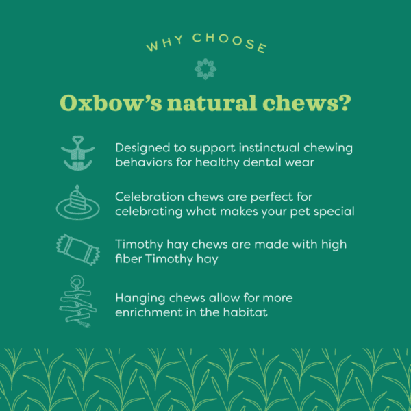 Oxbow Enriched Life - Colour Kabob - Image 3