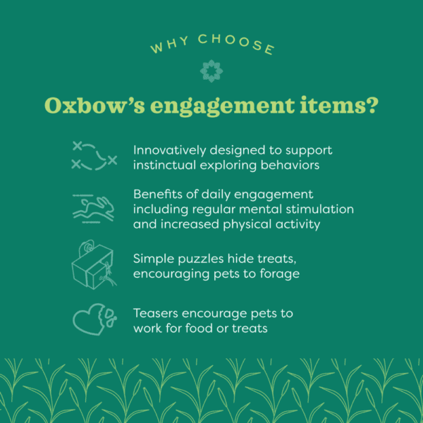 Oxbow Enriched Life - Play Table - Image 3