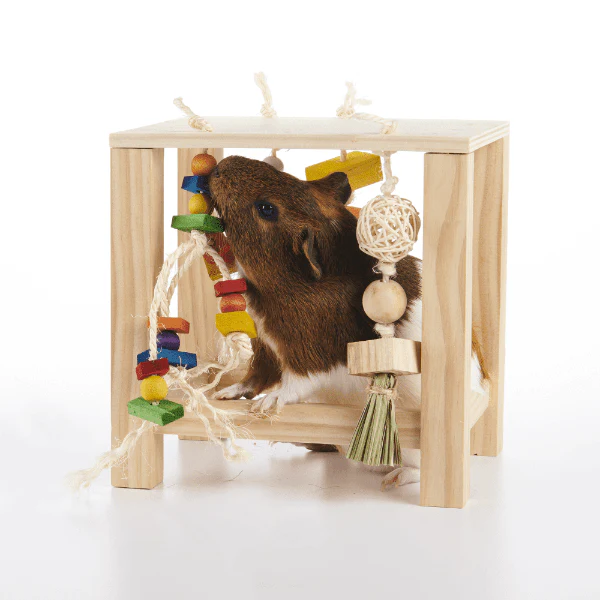 Oxbow Enriched Life - Play Table - Image 7