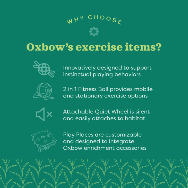 Oxbow Enriched Life - Run Around Ball - Image 3