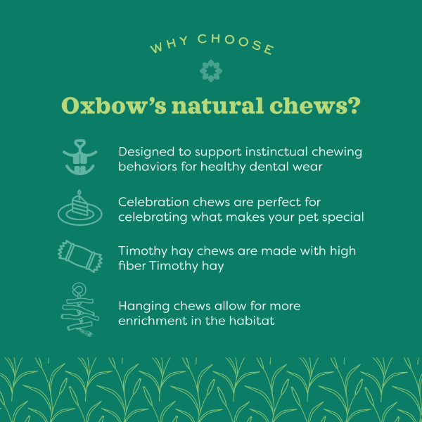 Oxbow Enriched Life - Timothy Lollipop; Carrot - Image 3