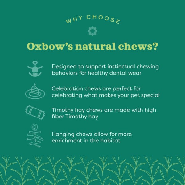 Oxbow Enriched Life - Timothy Party Pack - Image 3