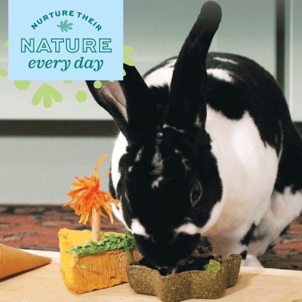 Oxbow Enriched Life - Timothy Waffle - Image 2