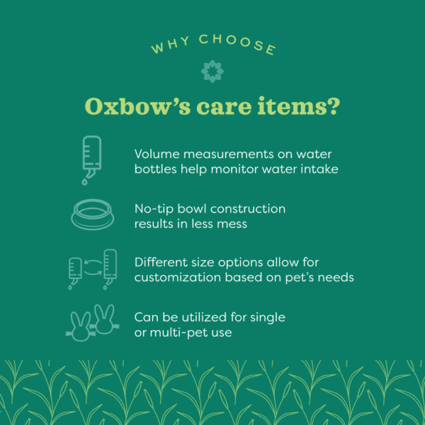 Oxbow Enriched Life - Wood Brush & Comb - Image 3