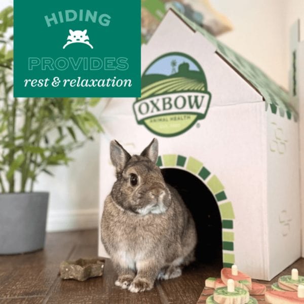 Oxbow Enriched Life - Woven Hideout - Image 4