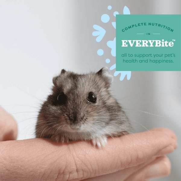 Oxbow Essentials Hamster & Gerbil Food - Image 2