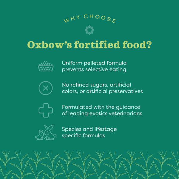 Oxbow Essentials Senior Rabbit Food - Image 3