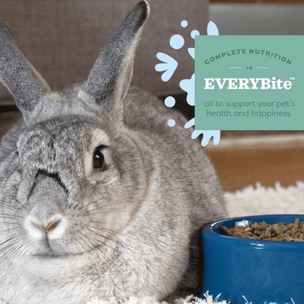 Oxbow Essentials Young Rabbit Food - Image 2
