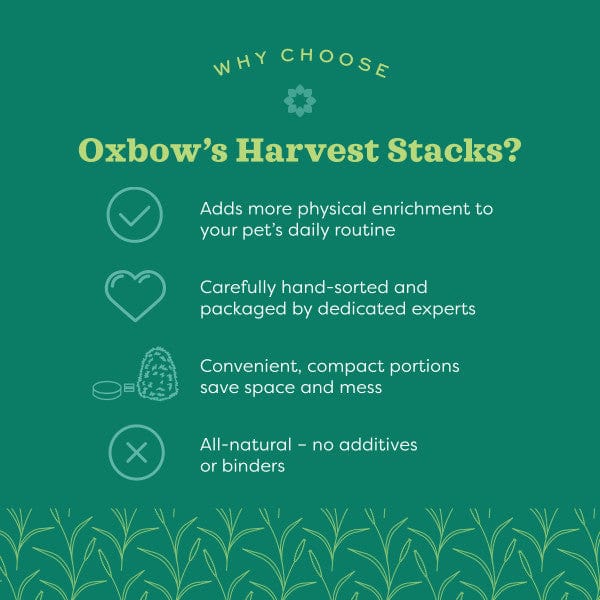 Oxbow Harvest Stacks Western Timothy - Image 6