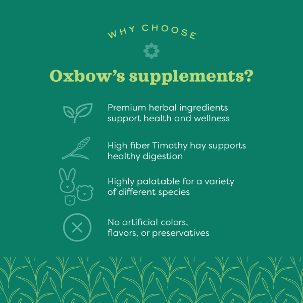 Oxbow Natural Science Skin & Coat Support - Image 3