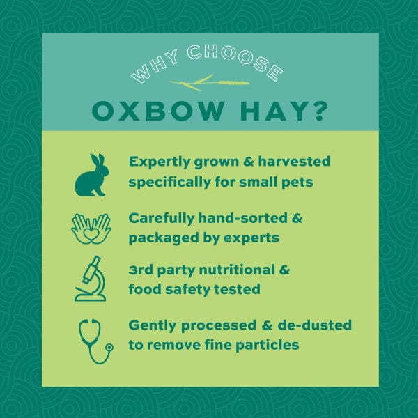 Oxbow Orchard Grass Hay - Image 6