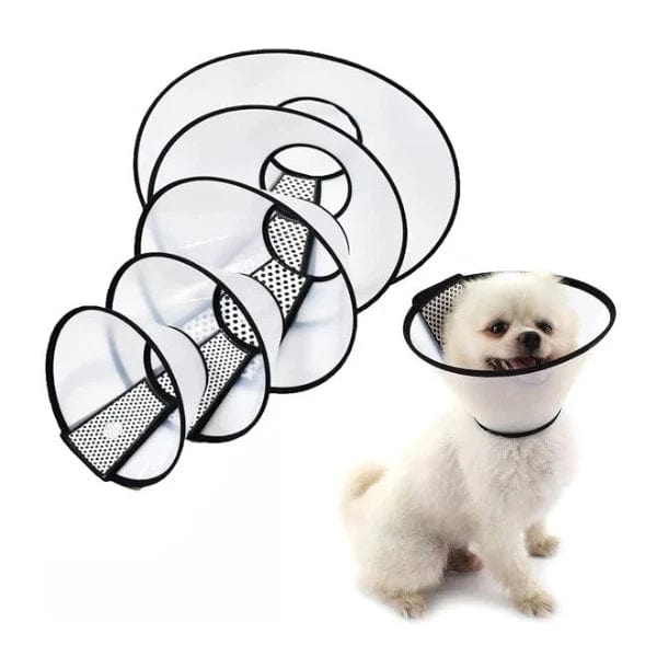 Pawise Recovery E-Collar