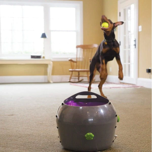 PetSafe Automatic Ball Launcher - Image 3