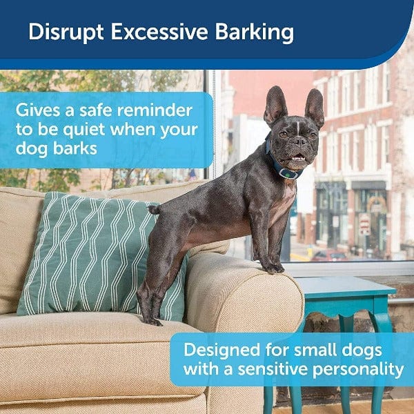 PetSafe Lite Rechargeable Bark Collar - Image 2