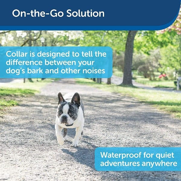 PetSafe Lite Rechargeable Bark Collar - Image 3
