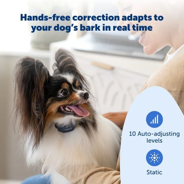 PetSafe NanoBark 2.0 Bark Collar For Small Dogs - Image 4
