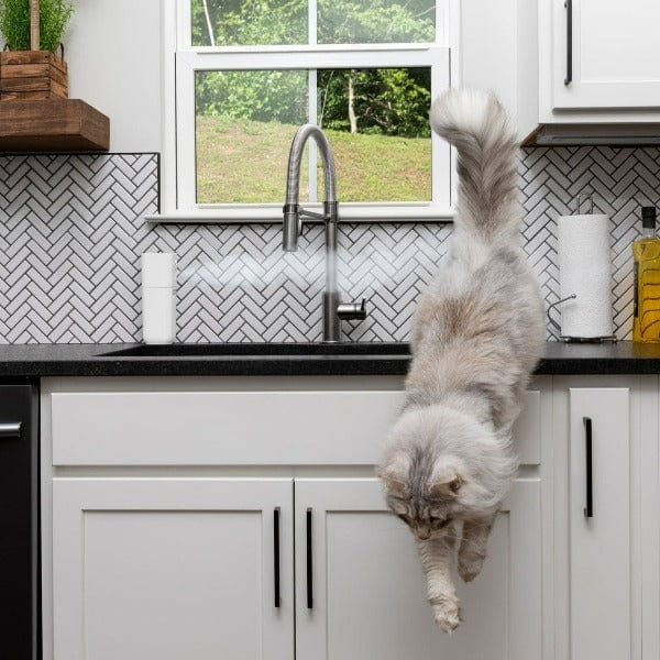 PetSafe SSSCAT Automatic Spray Pet Deterrent - Image 2