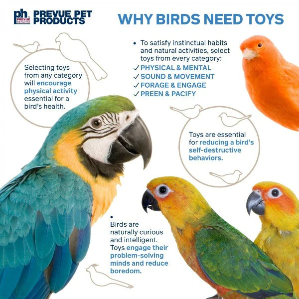 Prevue Pet Products Loops 'n Rings Bird Toy - Image 5