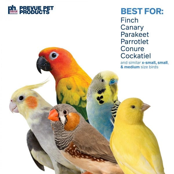 Prevue Pet Products Party Popper Bird Toy - Image 3