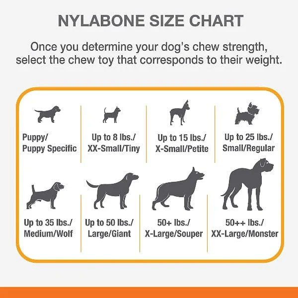 Nylabone Puppy Ring Bone Teething Toy for Puppies - Image 5