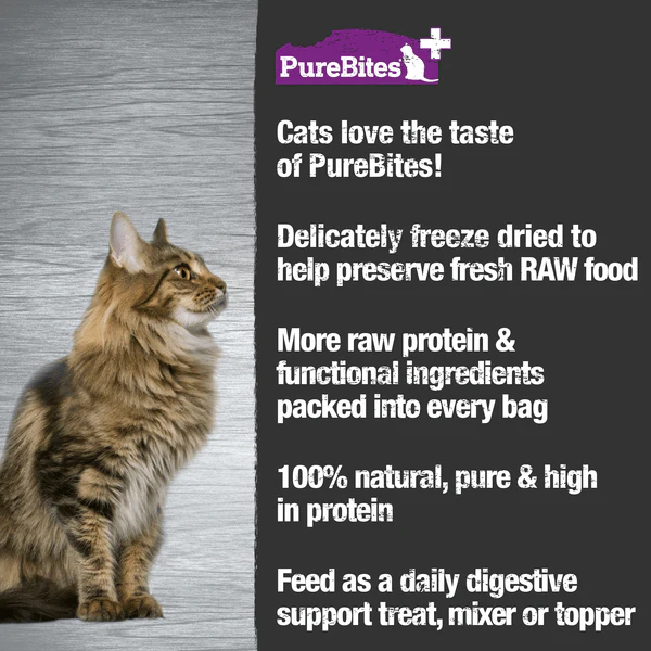 PureBites+ Digestion Freeze Dried Cat Treats, 31g - Image 3