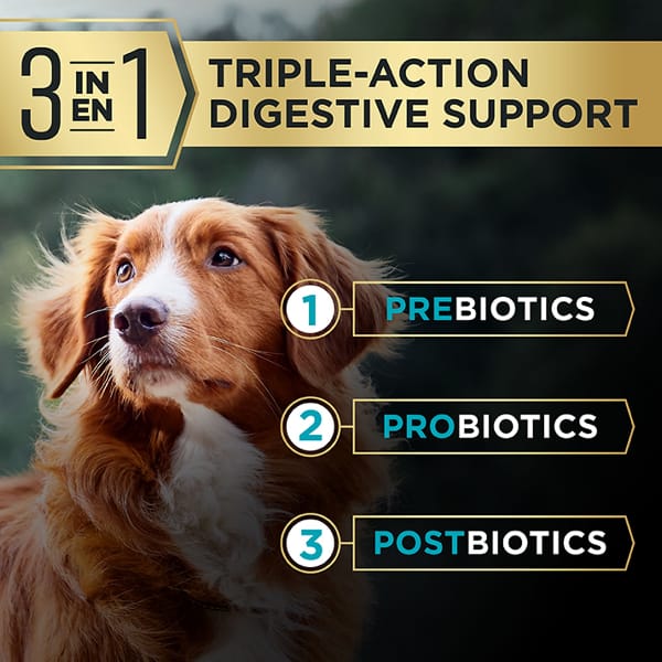 Purina Pro Plan AdvantEDGE Digestive Support+ Large Breed Salmon & Oat Meal Formula Adult Dry Dog Food - Image 3