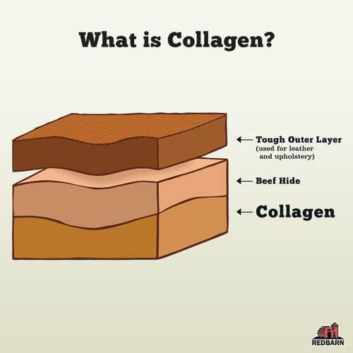 RedBarn Bully Wrapped Collagen Stick - Image 2